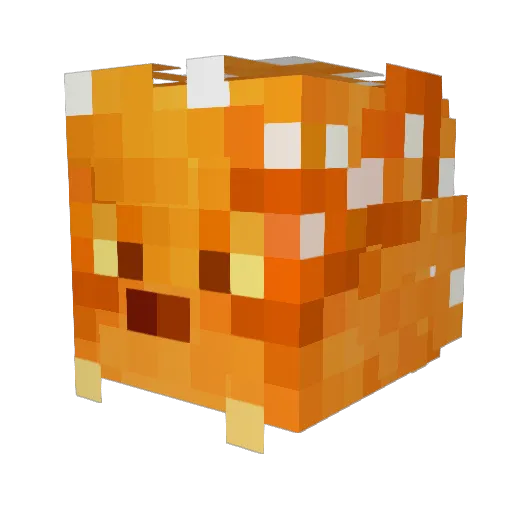 AudreyKnight Minecraft avatar head, 3D render