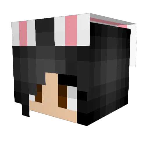 AudreySnowbear Minecraft avatar head, 3D render