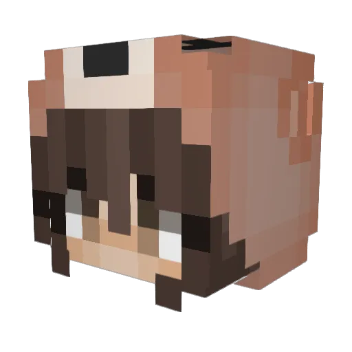 Audrie168 Minecraft avatar head, 3D render