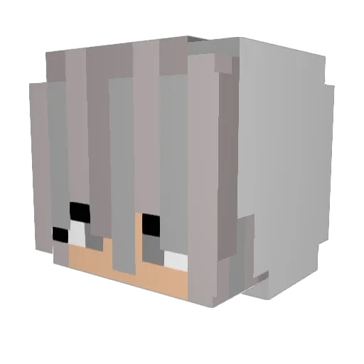 Aufgeklaerte Minecraft avatar head, 3D render