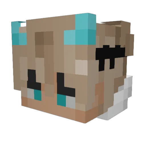 AugDaMan Minecraft avatar head, 3D render