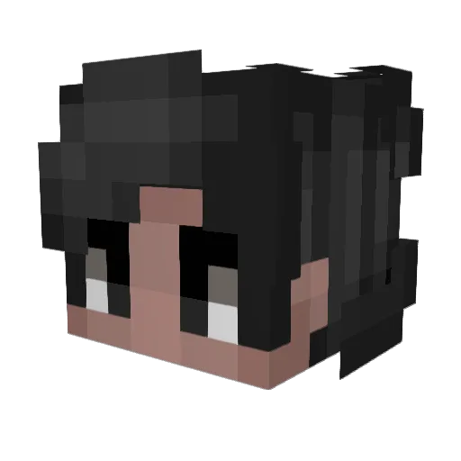 Augadh Minecraft avatar head, 3D render