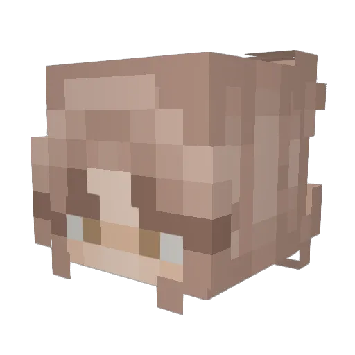 Auge99 Minecraft avatar head, 3D render