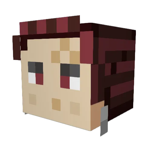 AugeTheSee Minecraft avatar head, 3D render