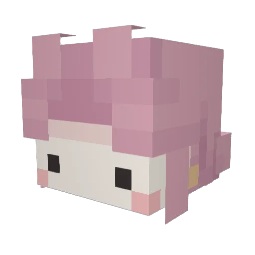 Augeni Minecraft avatar head, 3D render