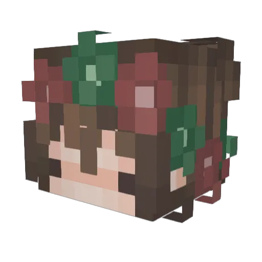 AuggieBeanz Minecraft avatar head, 3D render
