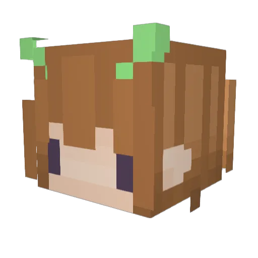 Auggifer Minecraft avatar head, 3D render