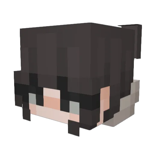 Augiedoggie Minecraft avatar head, 3D render