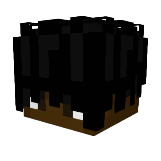 AugiiTee18 Minecraft avatar head, 3D render
