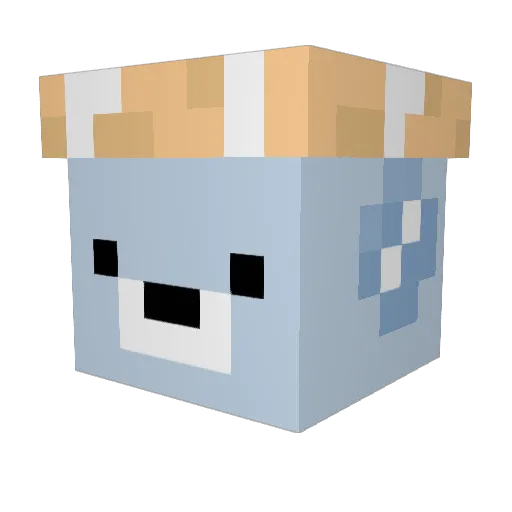 Augizzle Minecraft avatar head, 3D render
