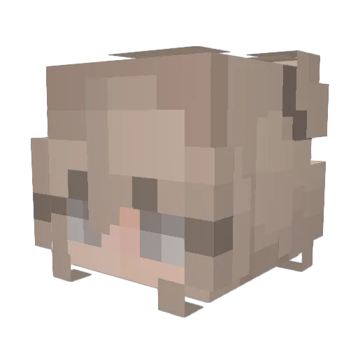 AuguLulu Minecraft avatar head, 3D render