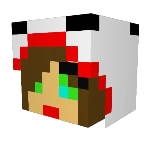 Augurey1988 Minecraft avatar head, 3D render