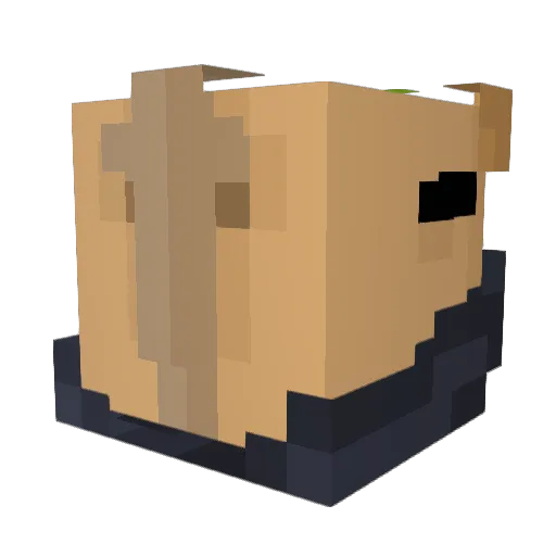 AugustCinema Minecraft avatar head, 3D render