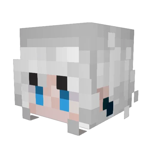 AugustEmily Minecraft avatar head, 3D render
