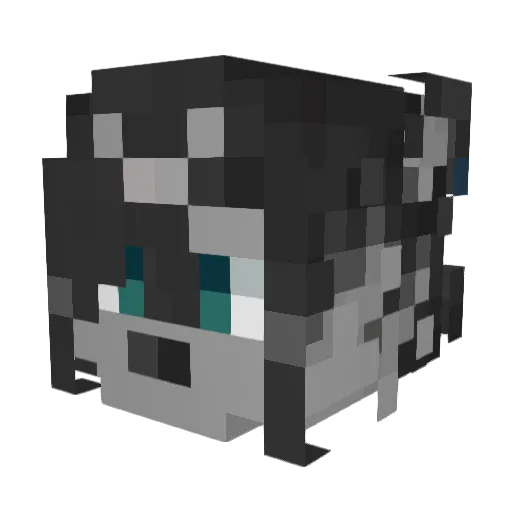 AugustSkies_ Minecraft avatar head, 3D render
