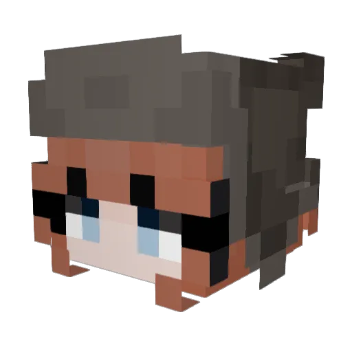 August_Elwood Minecraft avatar head, 3D render