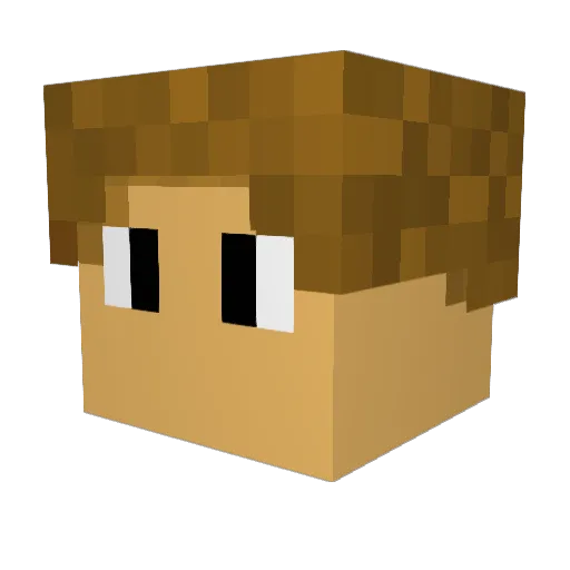 Augusta1112 Minecraft avatar head, 3D render