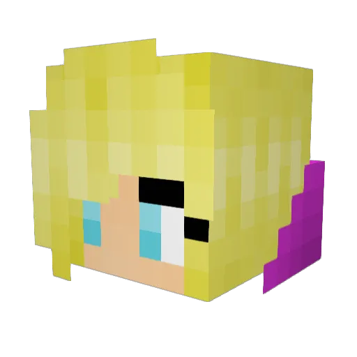 AugustaNightroad Minecraft avatar head, 3D render
