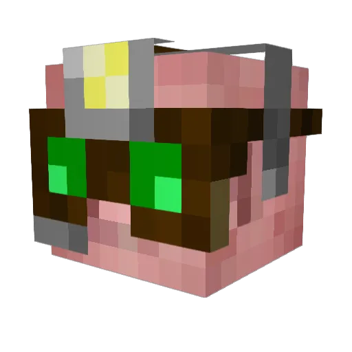 Augusticus Minecraft avatar head, 3D render