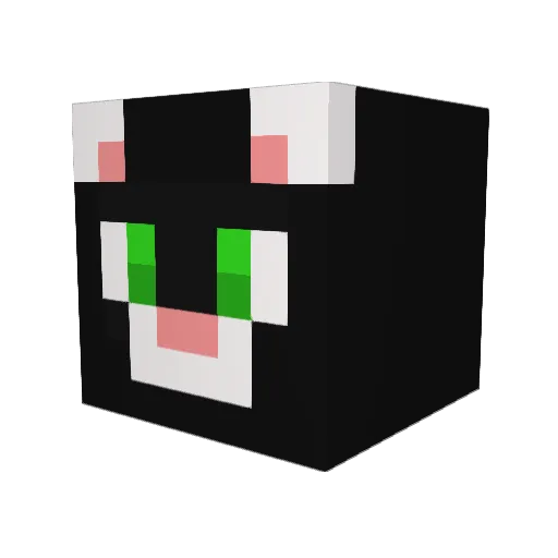 AugustoCreeper Minecraft avatar head, 3D render