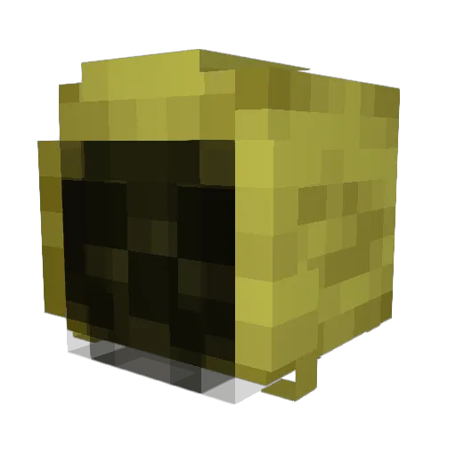 Augustyn Minecraft avatar head, 3D render