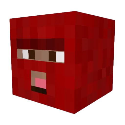 AugustynXD Minecraft avatar head, 3D render
