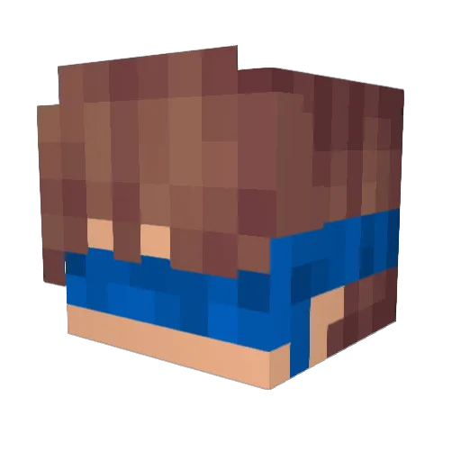 Aukasz Minecraft avatar head, 3D render