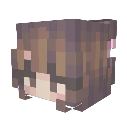 Aulenia Minecraft avatar head, 3D render
