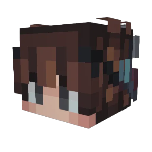 Aulim99 Minecraft avatar head, 3D render