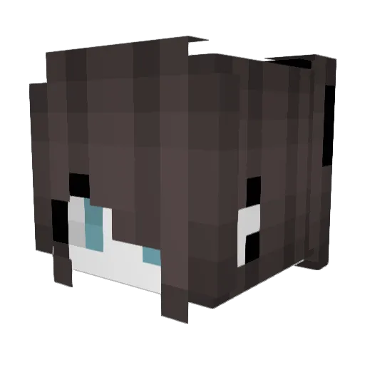 AulisNy Minecraft avatar head, 3D render