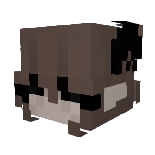 Aumetra Minecraft avatar head, 3D render
