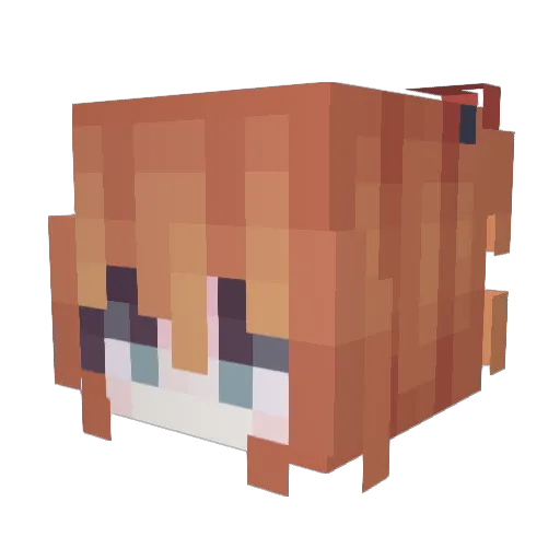 Aun1ty Minecraft avatar head, 3D render