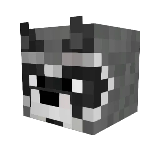 AuntAmy11 Minecraft avatar head, 3D render