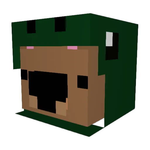 AuntButtons Minecraft avatar head, 3D render