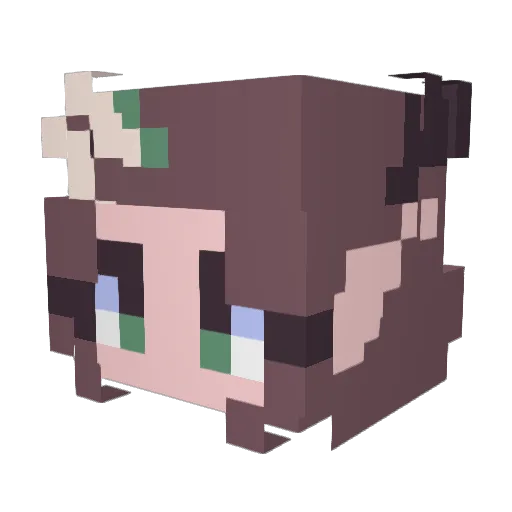 AuntSusieBeanDip Minecraft avatar head, 3D render