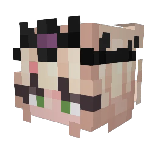 AuntieDona Minecraft avatar head, 3D render