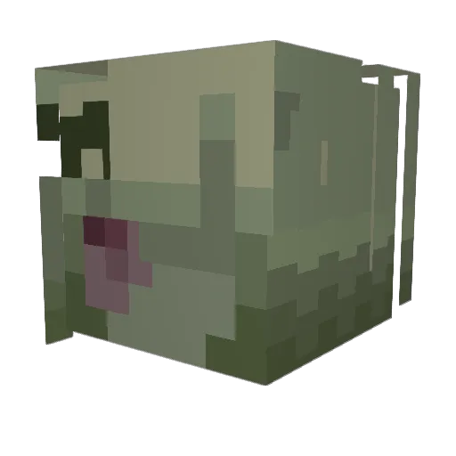 Auntie_lyssa Minecraft avatar head, 3D render