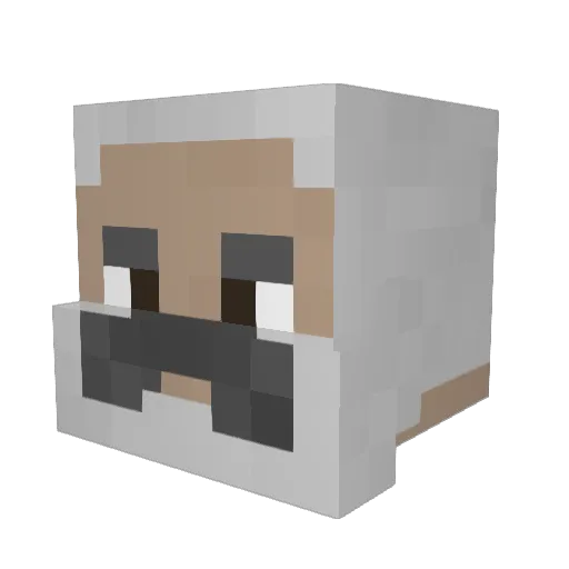 AuntyPat Minecraft avatar head, 3D render
