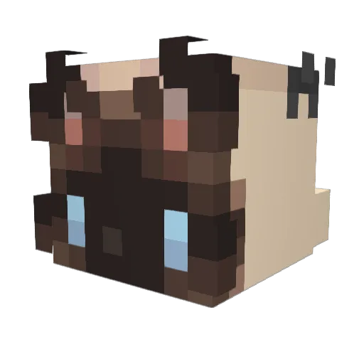 Aur0ra_NA Minecraft avatar head, 3D render