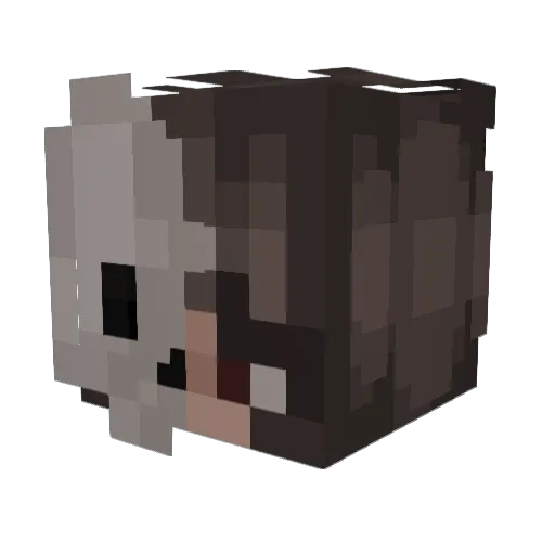 Aura7930 Minecraft avatar head, 3D render