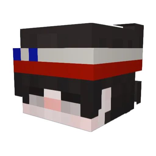 AuraTin67jajalol Minecraft avatar head, 3D render