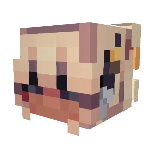 Aurakee Minecraft avatar head, 3D render
