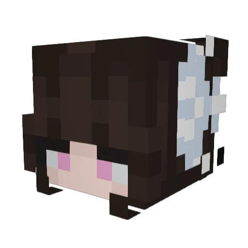 AuraraVT Minecraft avatar head, 3D render