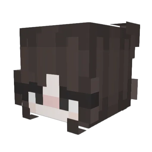 Aurarius Minecraft avatar head, 3D render