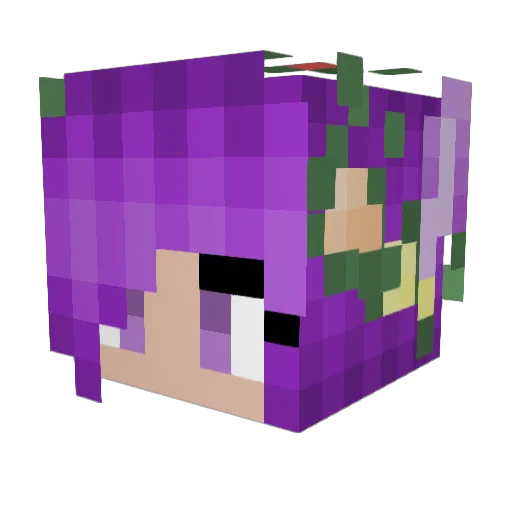 Auraroara Minecraft avatar head, 3D render