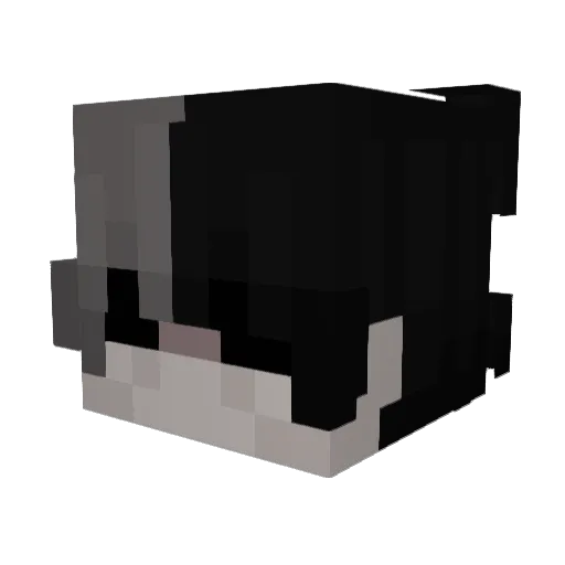 Aurasflora Minecraft avatar head, 3D render