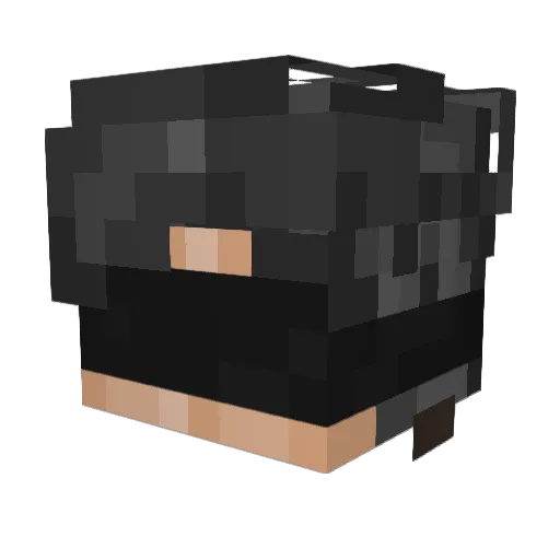 Aurelixl Minecraft avatar head, 3D render