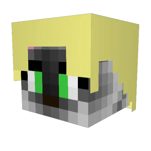 Aurenkitty Minecraft avatar head, 3D render