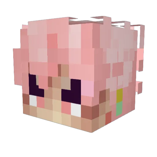 Aurexionn Minecraft avatar head, 3D render