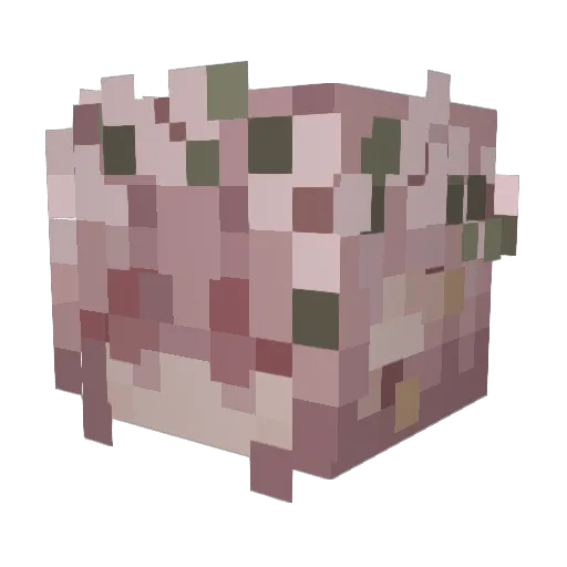 Auricix Minecraft avatar head, 3D render